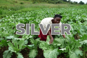 Silver Sponsor | Elwa Sunrise | Uganda